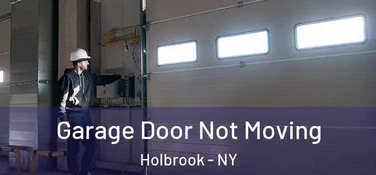  Garage Door Not Moving Holbrook - NY