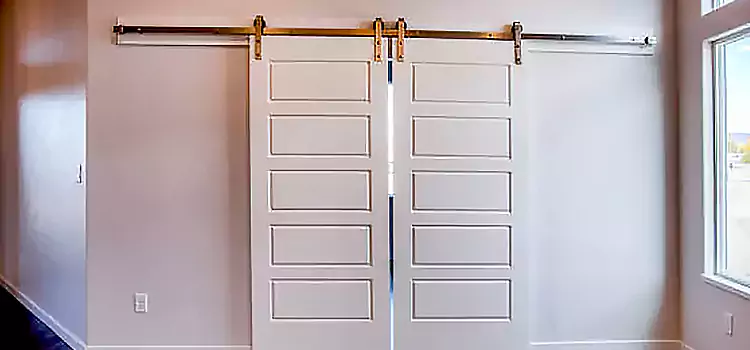 Glass Barn Door with Installation Hardware Kit Holbrook