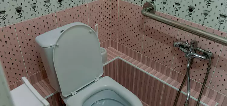 Meeting Diverse Needs With Accessible Restroom Solutions in Holbrook, NY