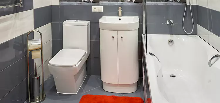 Hansgrohe Shaving Mirror Holbrook